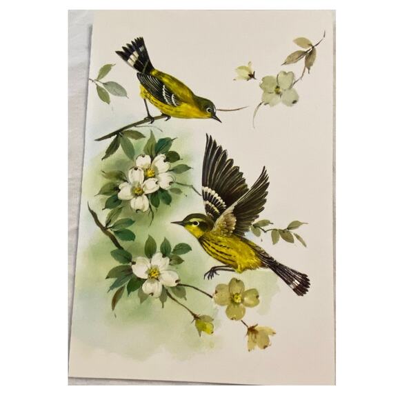 Lot 4 Vtg MCM Birthday Card USA 1970s Embossed Ornithologist Bird Winged Classic - Picture 7 of 16